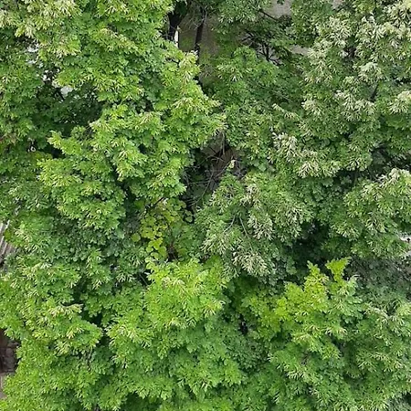 гнездото на пътешественика Appartement *